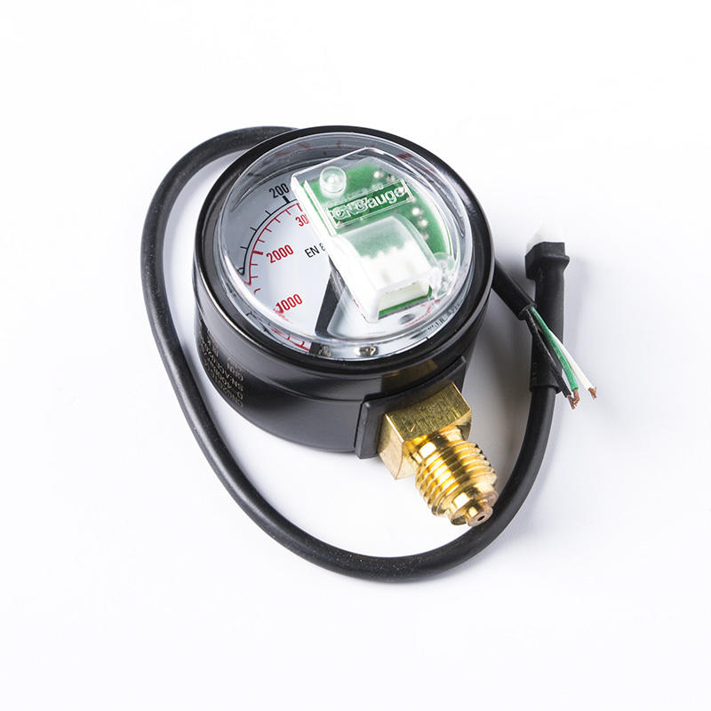 CNG pressure gauge 5v pressure gauge for conversion system CB08